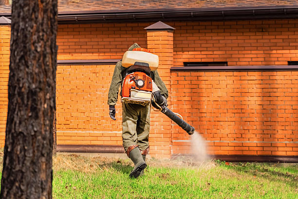 Trusted Termite Control service in Galesville, WI - Nex Pest Control